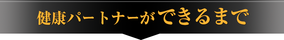 健康パートナーができるまで